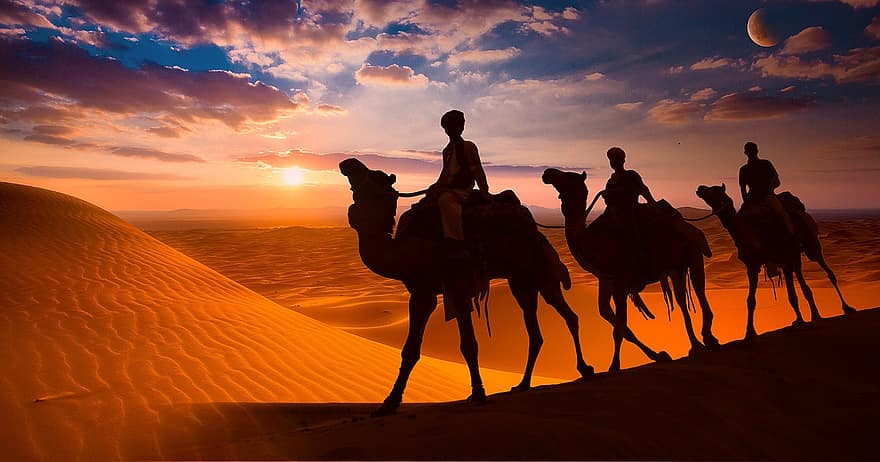 キャメル、砂漠、エジプト、動物たち、砂丘、砂、サハラ、風景、おとこ、日没、太陽