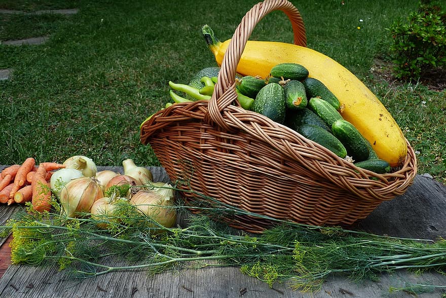 Vegetables, Harvest, Basket Of Vegetables, Produce, Fresh Vegetables