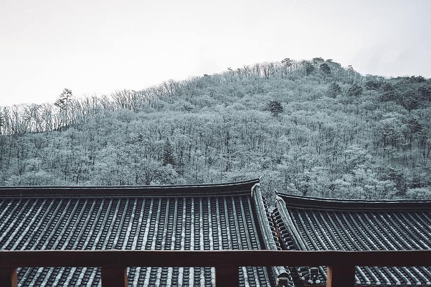 casa, edificio, techo, tradicion, montaña, Corea, paisaje, viaje, naturaleza, arquitectura, bosque