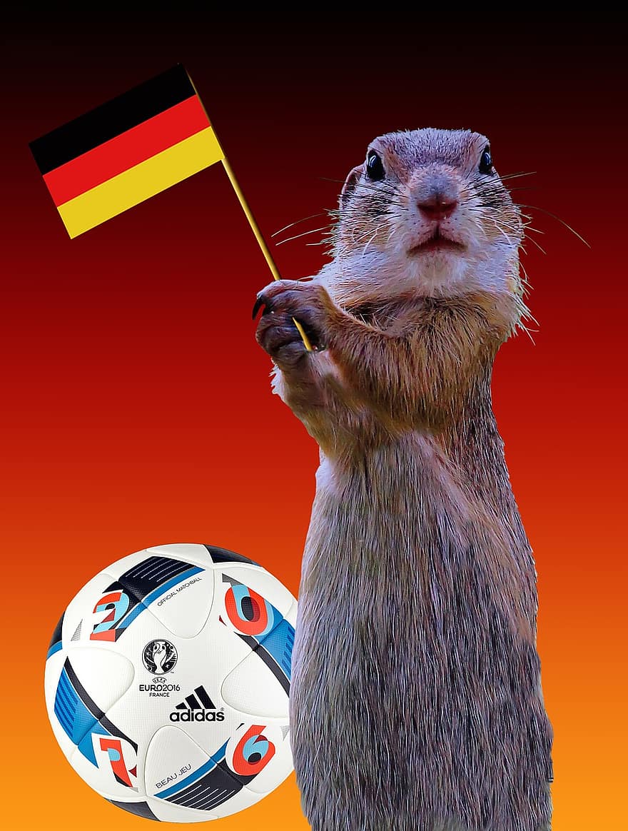 2016, Deutschland Flagge, europäische Meisterschaft, Flagge, Deutschland, Ball, Fußball, Sport, Europameister, Erdmännchen, UEFA-Fußball-Europameisterschaft