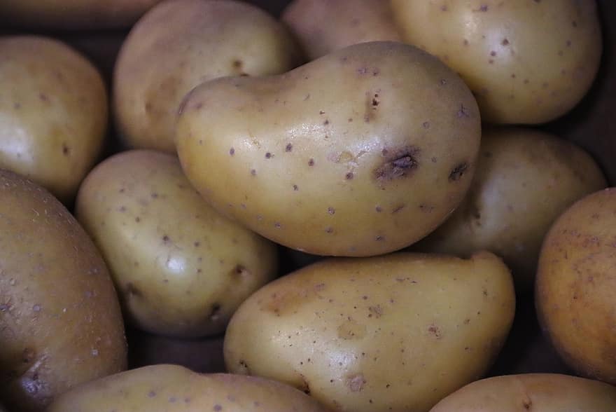 Potatoes, Vegetables, Root Crops, Harvest, vegetable, freshness, raw potato, food, agriculture, organic, healthy eating