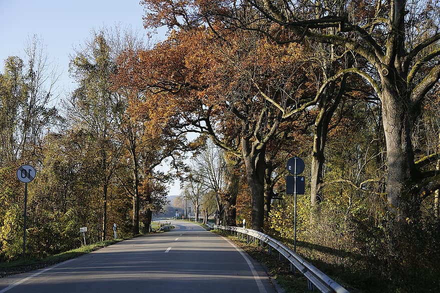 Road, Highway, Pavement, Roadway, Trees, Landscape