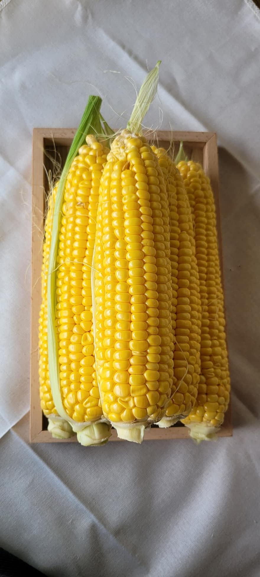 Кукурудза за секунду, в секунду, Солодка кукурудза, жовта кукурудза, кут, сільське господарство, природи, сільськогосподарська продукція, кукурудза, овочі, Агрі