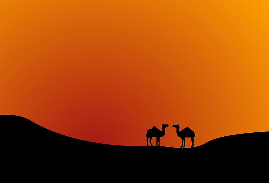 रेगिस्तान, परिदृश्य, सूर्योदय, आकाश, सुरज की किरण, रवि