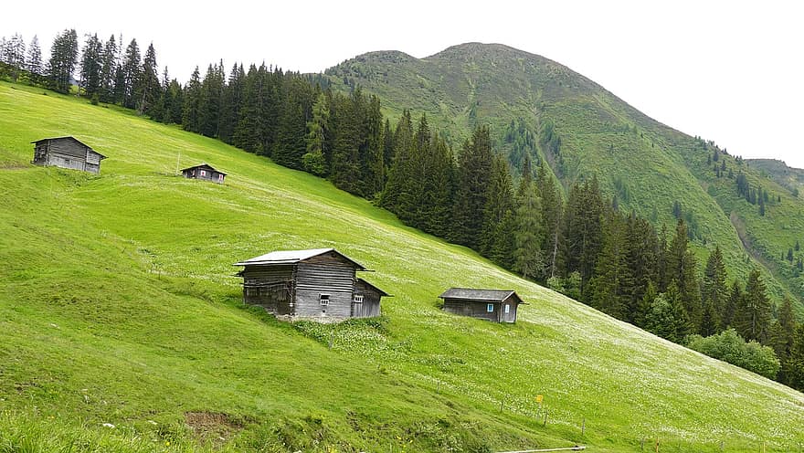 ορεινό τοπίο, καλοκαιρινό βουνό, λιβάδι, πράσινος, γρασίδι, βουνό, αγροτική σκηνή, τοπίο, πράσινο χρώμα, καλοκαίρι, εξοχικό σπίτι
