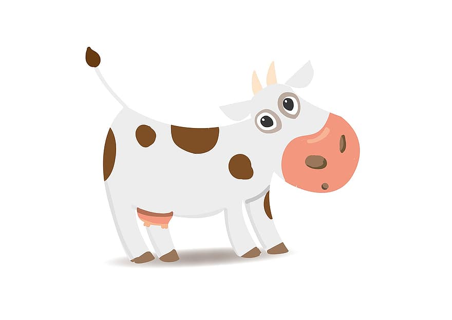 소, 동물, 가축, 소고기, 반추 동물, 포유 동물, 황소, 젖통