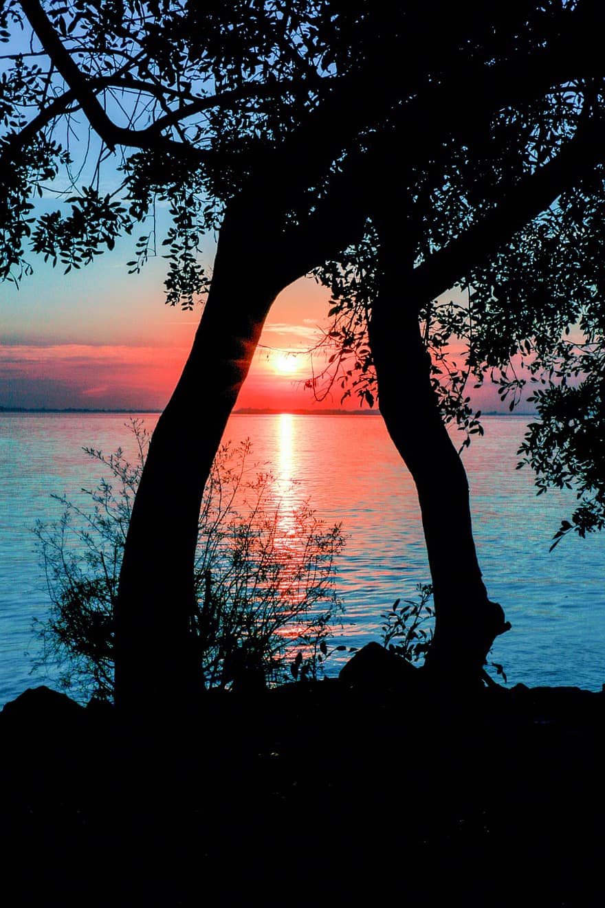 Dusk, Lake, Trees, Water, Sunset, Twilight, silhouette, tree, sun, sunlight, sunrise