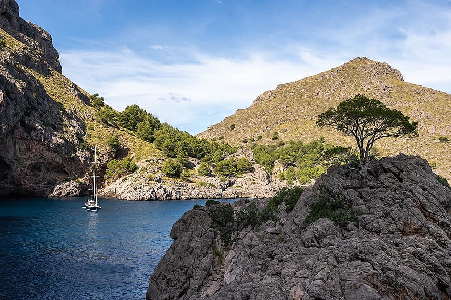 meer, rotsachtige kust, kust, natuur, landschap, Majorca, klif, zomer, berg-, rots, reizen