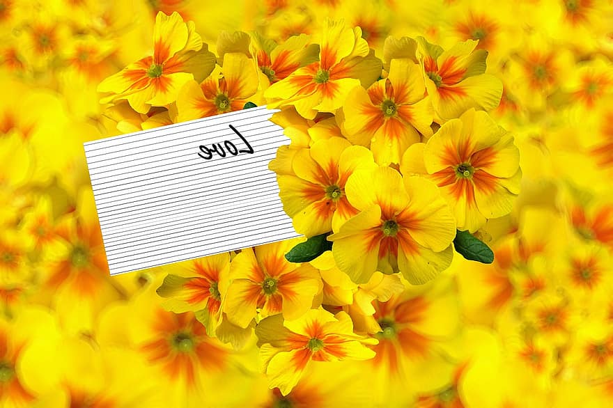 Hintergrund floral, Gelb, Blumen, Hintergrund, blumig, Flora, Blume
