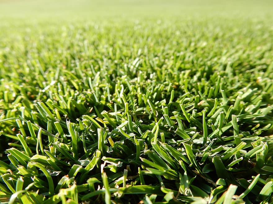 gräs, färsk, golf, fairway, skära, grön, golfbana, solsken