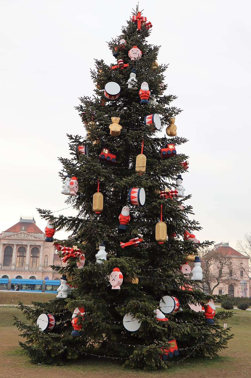 vánoční strom, dekorativní, dekorace, příchod, zimní, nálada, strom, oslava, sezóna, kultur, borovice