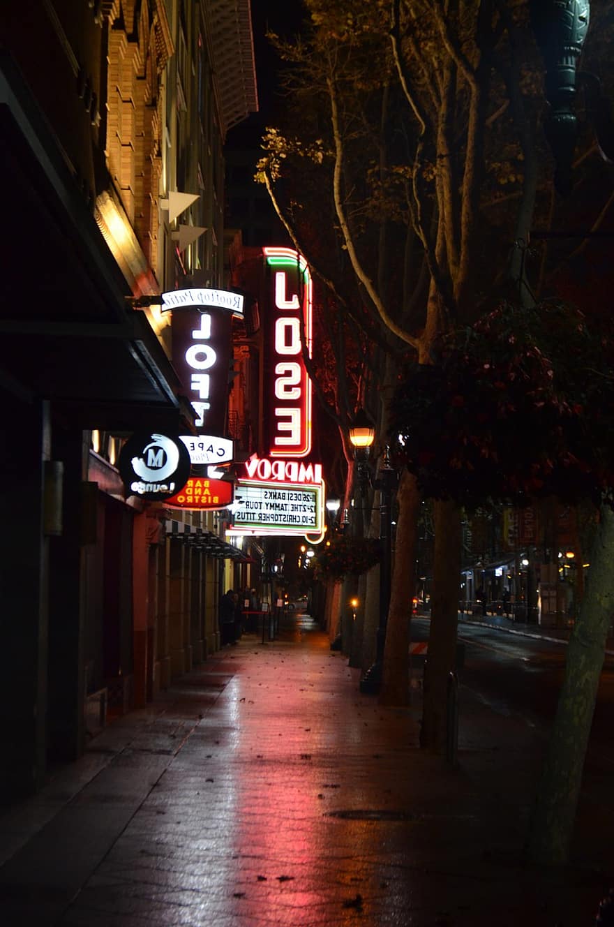 San Jose, California, Lights, Downtown, Night, Rain, Tree, nightlife, illuminated, city life, sign