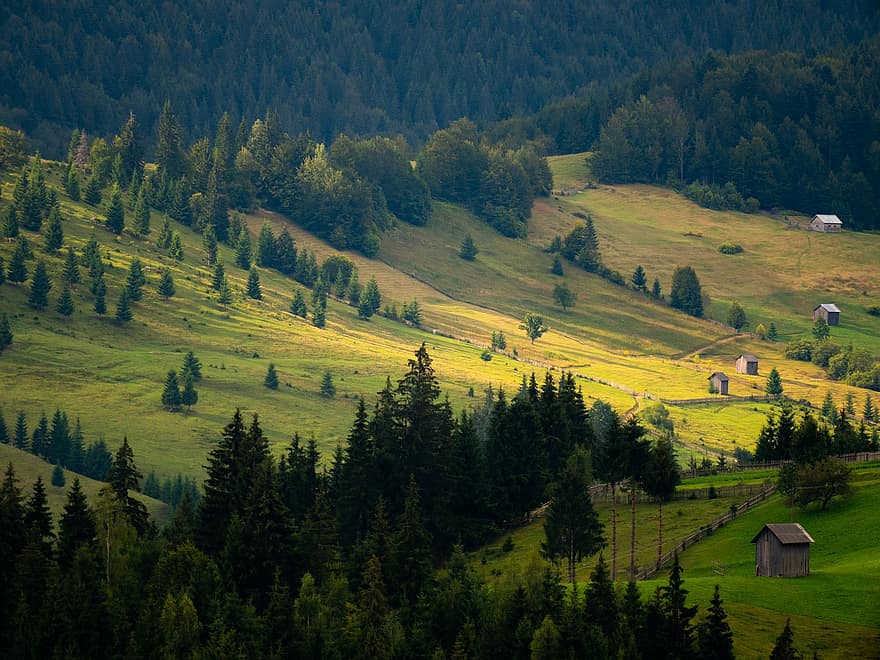 Landscape, Valley, Countryside, Hills, Field, Meadow, Grassland, Pasture, Nature, Trees, Foliage