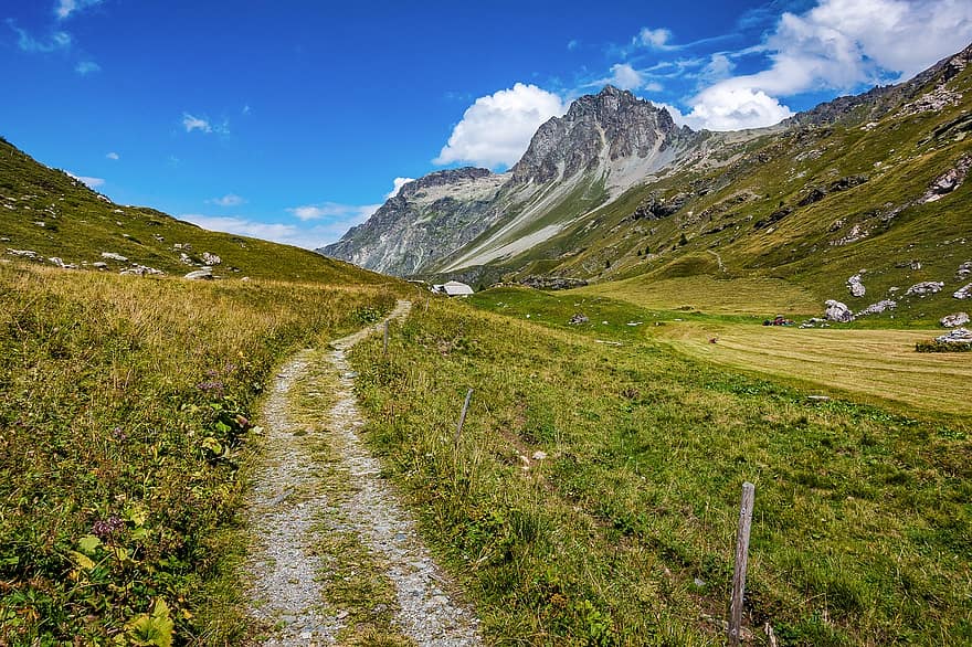 Engadin, Graubünden, natură, Elveţia, munţi, alpin, peisaj, vale, luncă, câmpuri, păşune