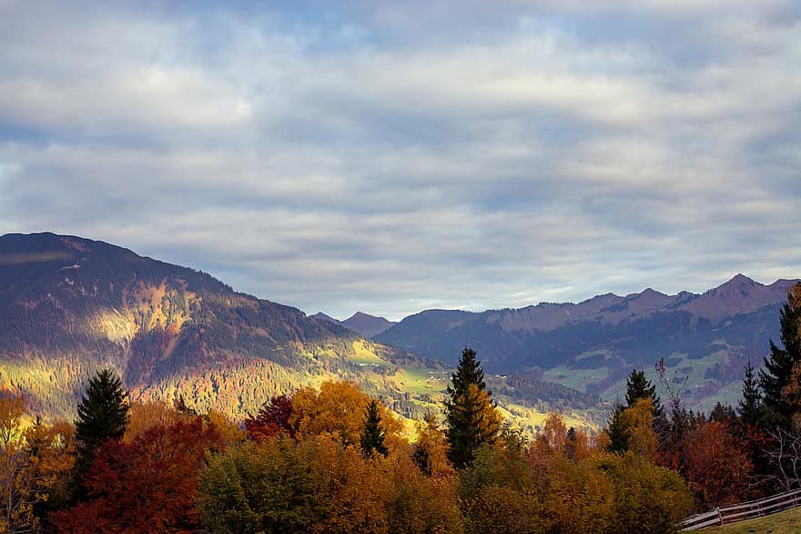 montagne, foresta, autunno, natura, paesaggio, scenario, alberi, vertice, picco, cielo, nuvole