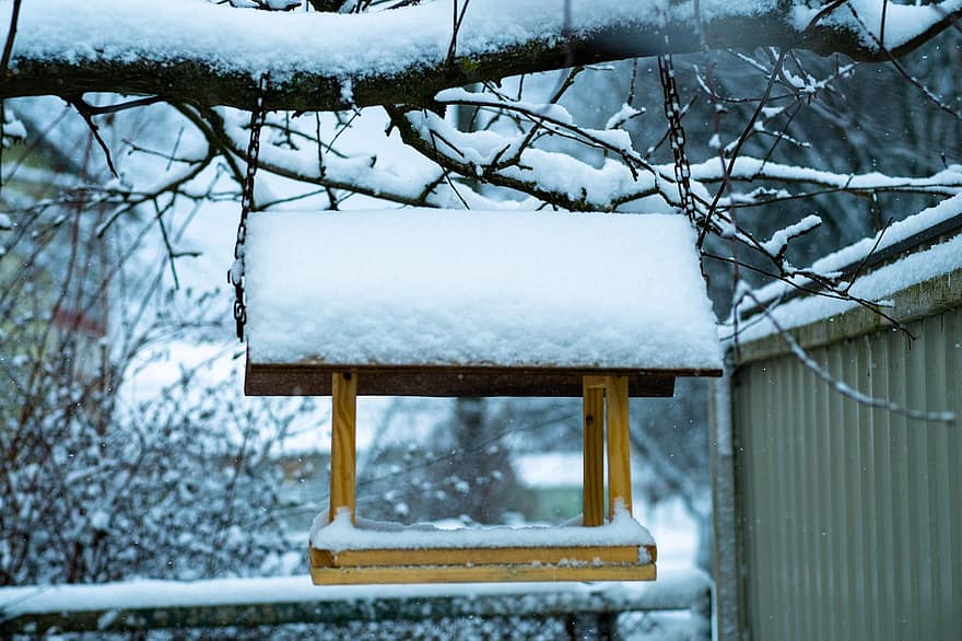 birdhouse, ramo, la neve, inverno, albero, sospeso, di legno, brina, ghiaccio, freddo, mangiatoia per uccelli