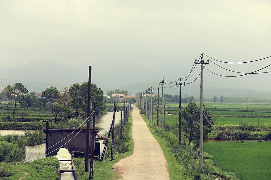 Road, Farm, Countryside, Path, Utility Poles, Cables, Electricity Poles, Rural, Country