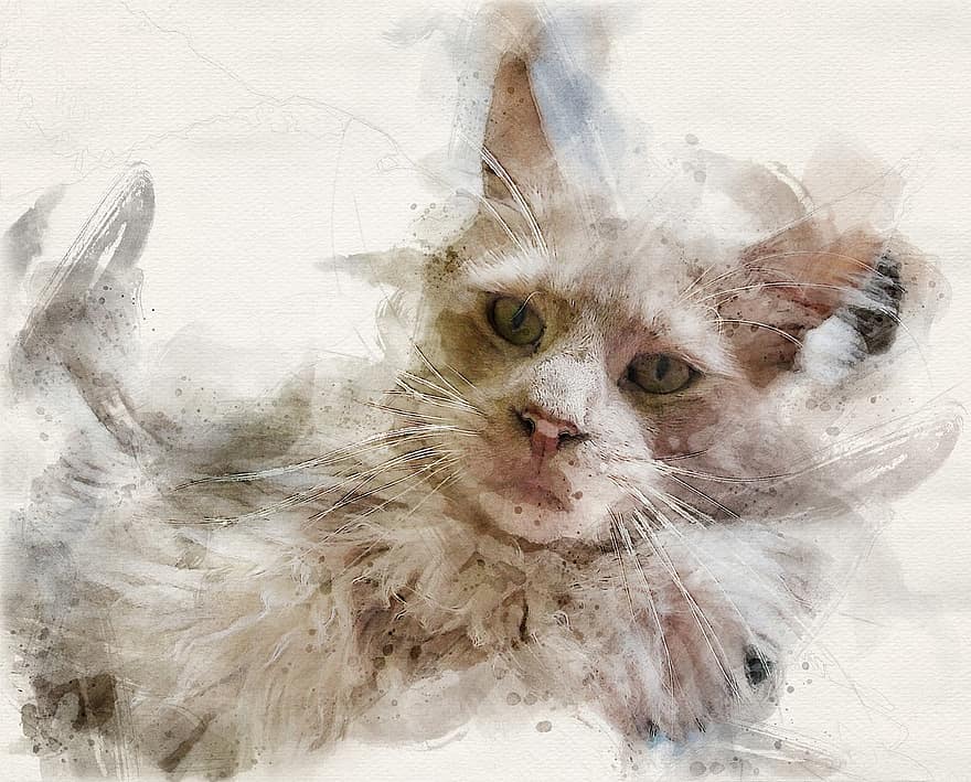 kucing, hewan, lukisan cat minyak, mamalia, cambang, potret, Potret Minyak, seni
