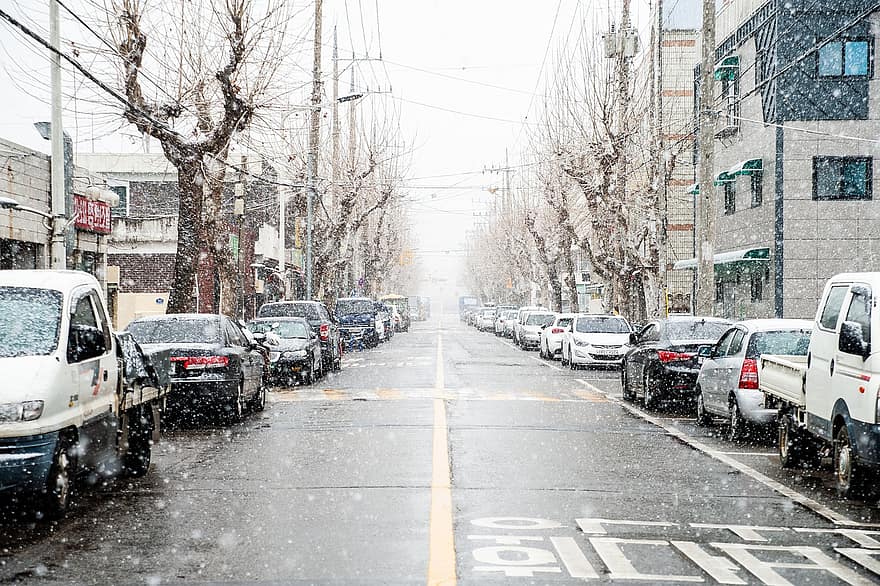 雪、通り、車、駐車中の車、雪が降る、道路、ストリート写真、冬、降雪、乗り物