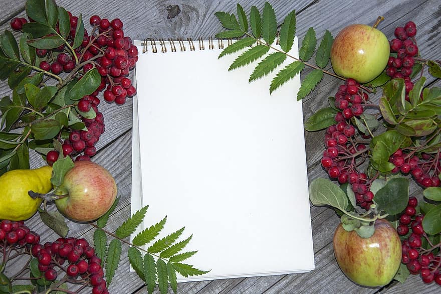 notatnik, kopia przestrzeń, liść, owoc, świeżość, jedzenie, stół, jabłko, drewno, lato, tła