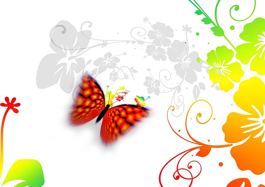 Kringel, lingkaran, bunga-bunga, kupu-kupu, ornamen, abstrak, Desain, eddy, verschnörkelt, dekorasi, Lengkungan