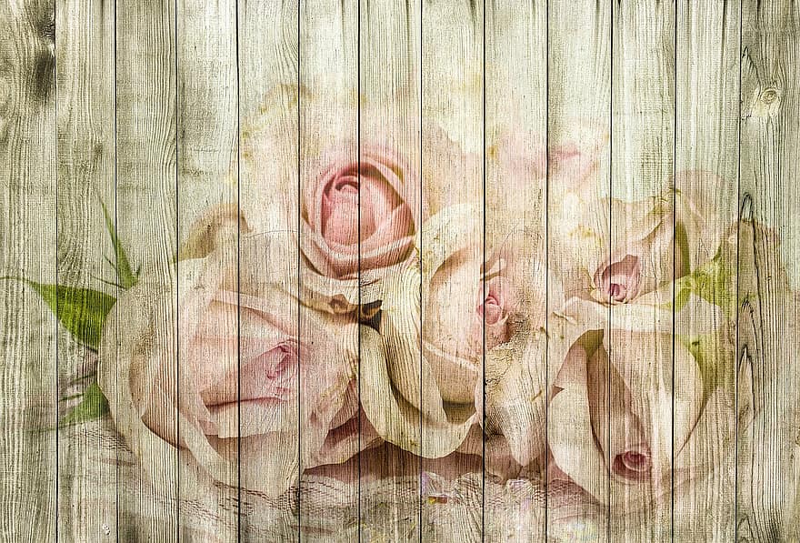 Roar, Pink, Roses Plate, On Wood, Romantic, Structure, Background, Collage, Playful, Wood, Roses