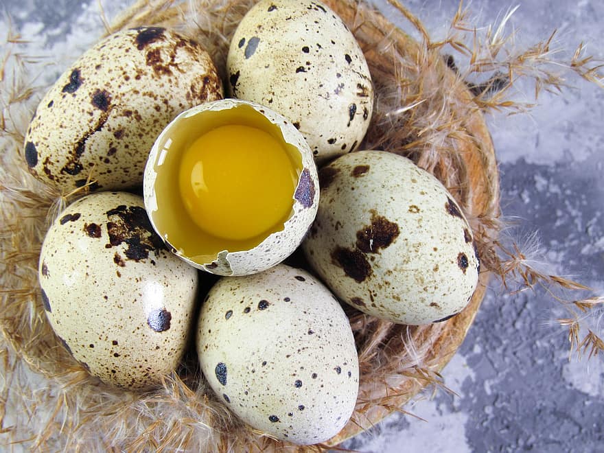 æg, vagtel æg, økologiske æg, rede, fugl reden, æggeblomme, mad, dyreæg, organisk, tæt på, friskhed