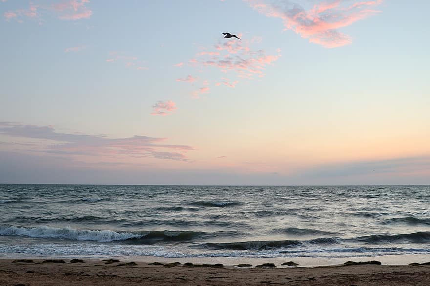 mar, El mar de Azov, amanecer, horizonte, cielo, fondo, marina, olas, estrellarse, Oceano, playa