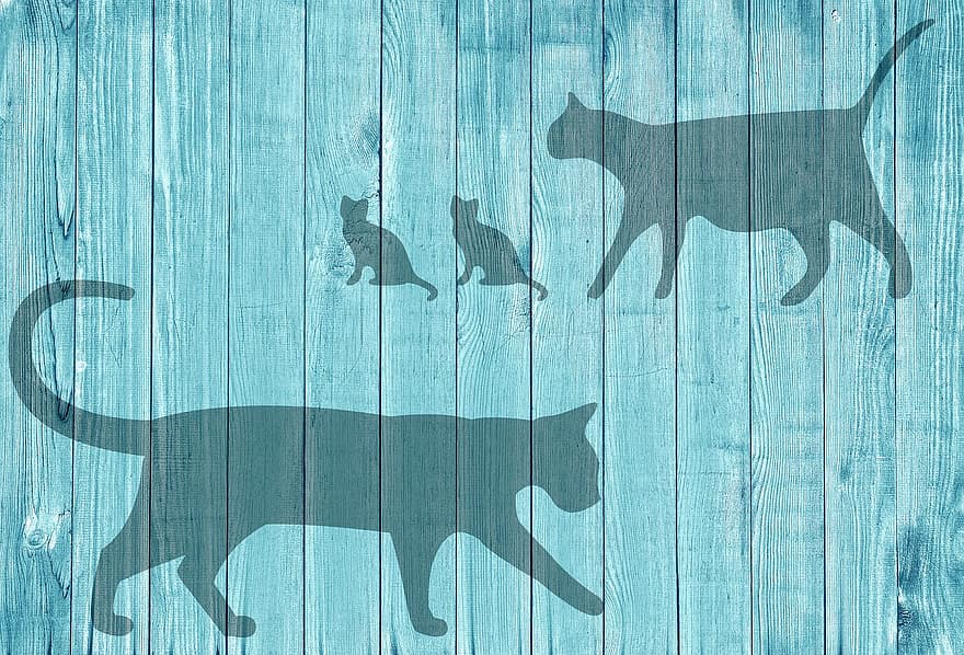turquesa, madera, estructura, fondo, azul, imagen de fondo, tablas, pared de madera, tablas de madera, gato, familia de gatos