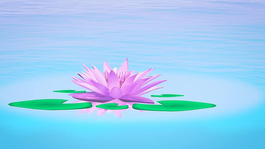 Lilia wodna, jezioro, staw, Natura, kwitnąć, kwiat, woda, roślina wodna, róża jeziora, podkładka lilii, lotos