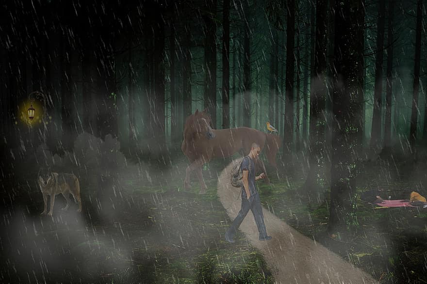 лес, дождь, деревья, ночь, сюрреалистичный, фантастика, обои на стену, темно, туман