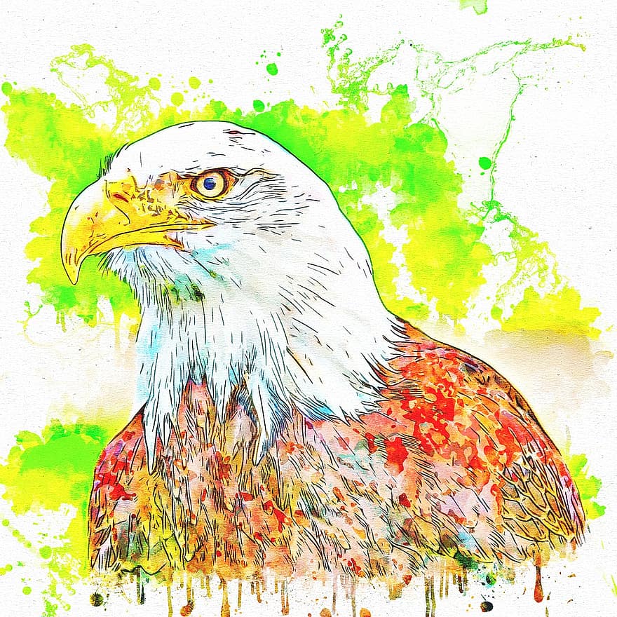 Bird, Hawk, Feathers, Art, Abstract, Watercolor, Nature, Raptor, Vintage, T-shirt, Artistic