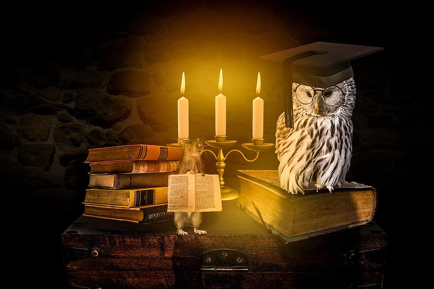 sova, krysa, Doktorský klobouk, svíčky, svícen, knih, mistr, rezervovat, vzdělání, literatura, učení se
