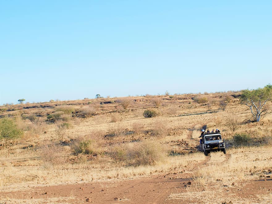 safari, wildernis, Afrika, Namibië, landschap, off-road voertuig, auto, zandweg, snelheid, reizen, zand