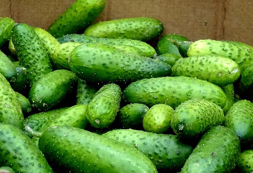 Vegetables, Cucumbers, Market, Nourishment