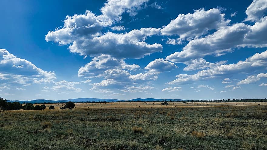 champ, Prairie, des nuages, ciel, la nature, paysage, vue panoramique