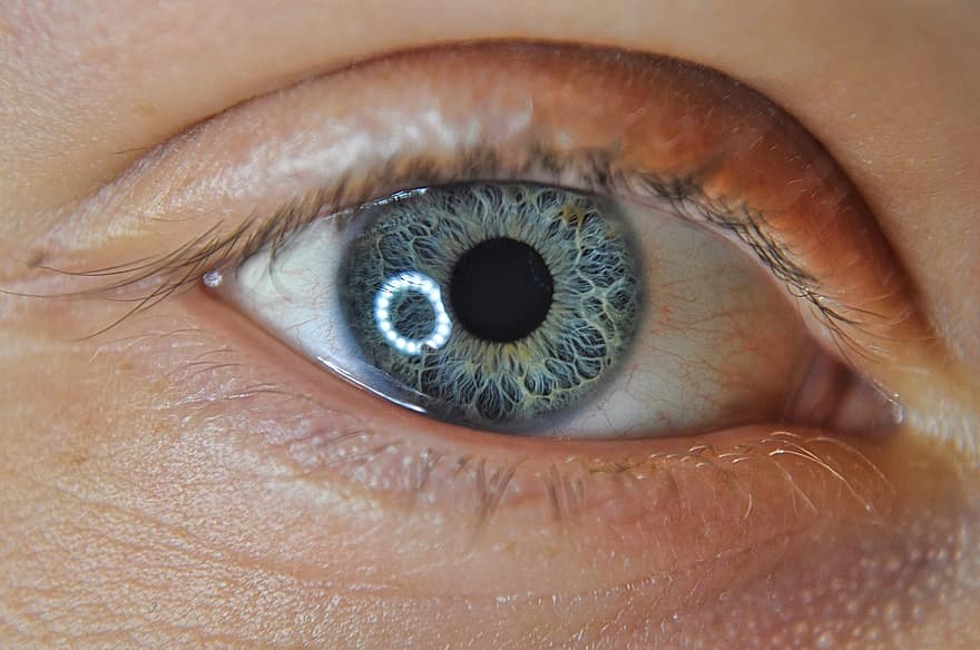 Eye, Macro, Pupil, Sight