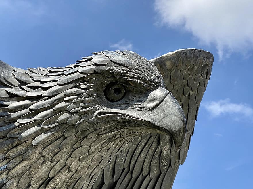 Eagle Statue, Eagle Sculpture, Art, Animal Statue, Bird Sculpture, Sculpture, Close Up, close-up, animals in the wild, beak, feather