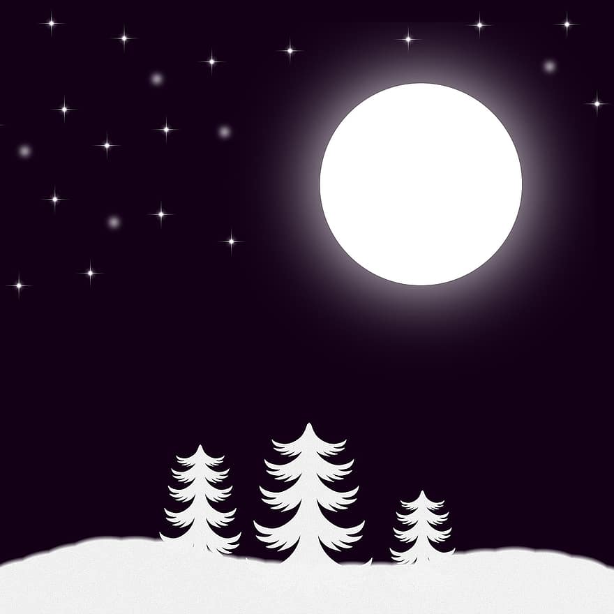 nacht, maan, ster, bomen, sneeuw, Kerstmis, structuur, grafisch, ontwerp, achtergrond, tafereel