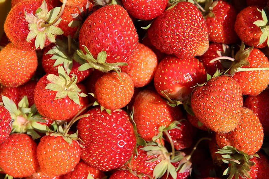 jordgubbe, bär, röd, ljuv, vitaminer, färsk, sommar, mogen, växt, natur, vegetarianism