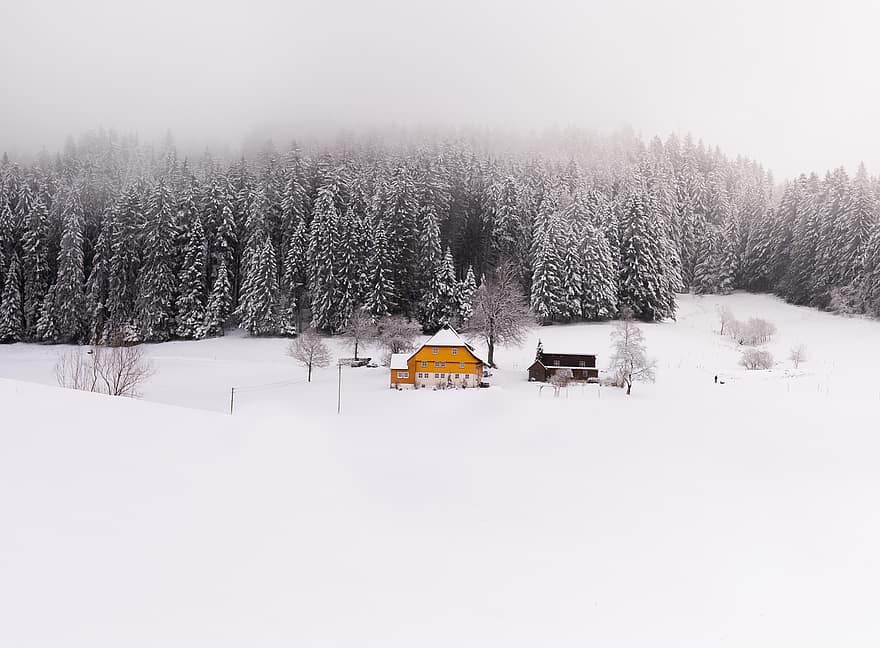 Winter, House, Season, Snow, Outdoors, Trees, Travel, Exploration, forest, landscape, mountain