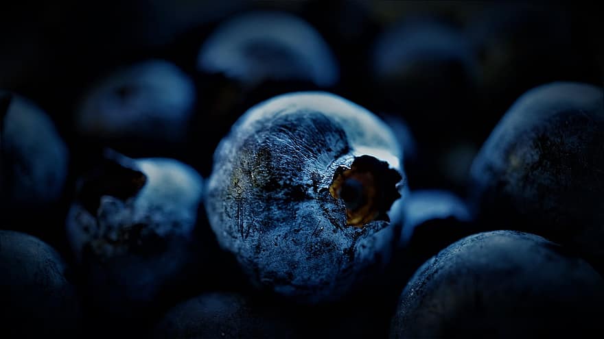 Blaubeere, schwarze Beere, Moll Berry, singen, weiche Frucht, Waldfrucht, Früchte, Obst, Essen, Küche, Hintergrund