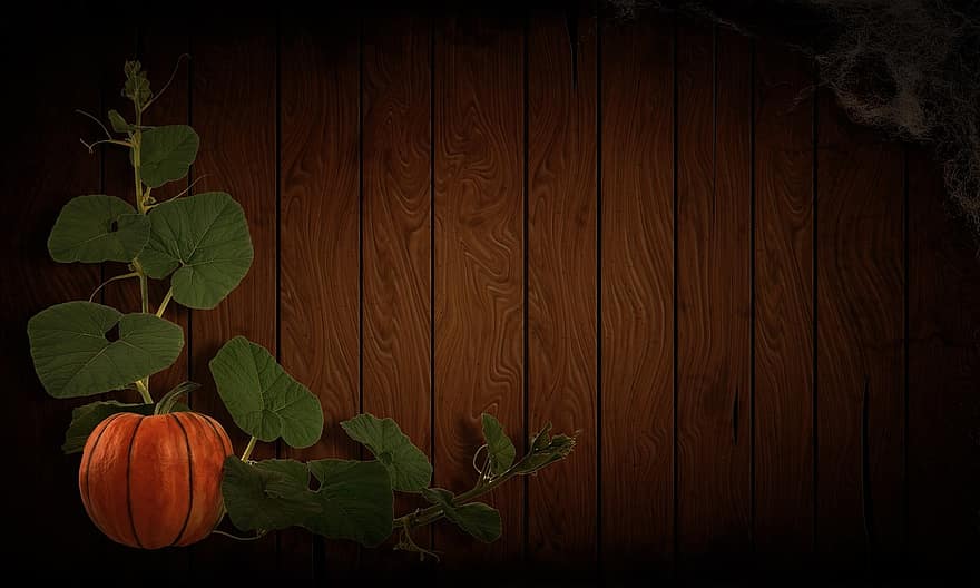 Background, Wooden, Halloween, Holiday, Pumpkin, Card, Dark, Autumn, Black Background