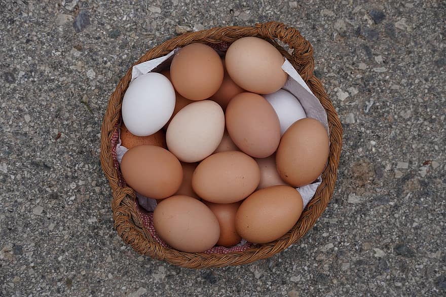 eieren, eiermand, voedsel, voeding, eiwit, farm, versheid, biologisch, dierlijk ei, detailopname, mand