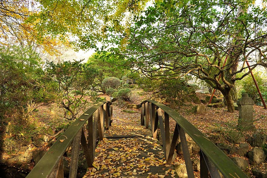 сад, мост, природа, осень, время года, падать, на открытом воздухе, ботанический