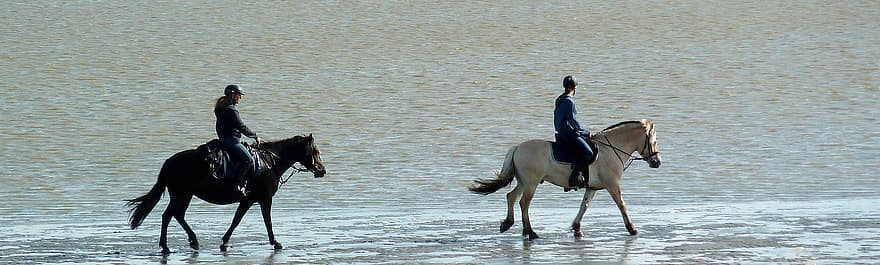 kuda, mengendarai, berkuda, air, laut, pemandangan, pantai, mencongklang, penunggang kuda