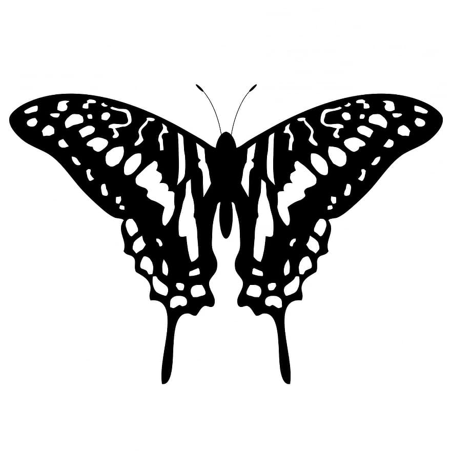 mariposa, animal, insecto, Art º, hermoso, tatuaje, forma, diseño, modelo, negro, blanco