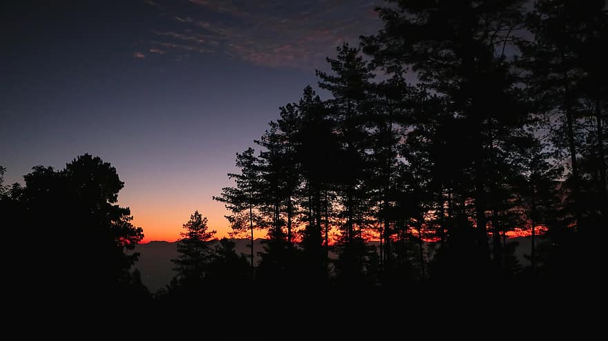 solnedgang, Skov, natur, landskab, flod, træ, træer, lys, Yosemite, sti, udendørs