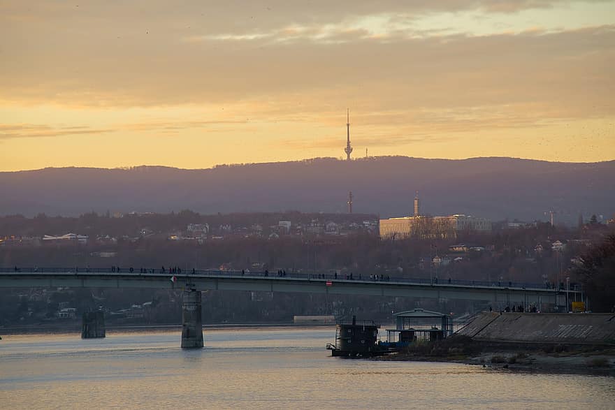 fiume Danubio, tramonto, città, fiume, urbano, sera, crepuscolo, paesaggio urbano, Serbia, paesaggio, novi triste