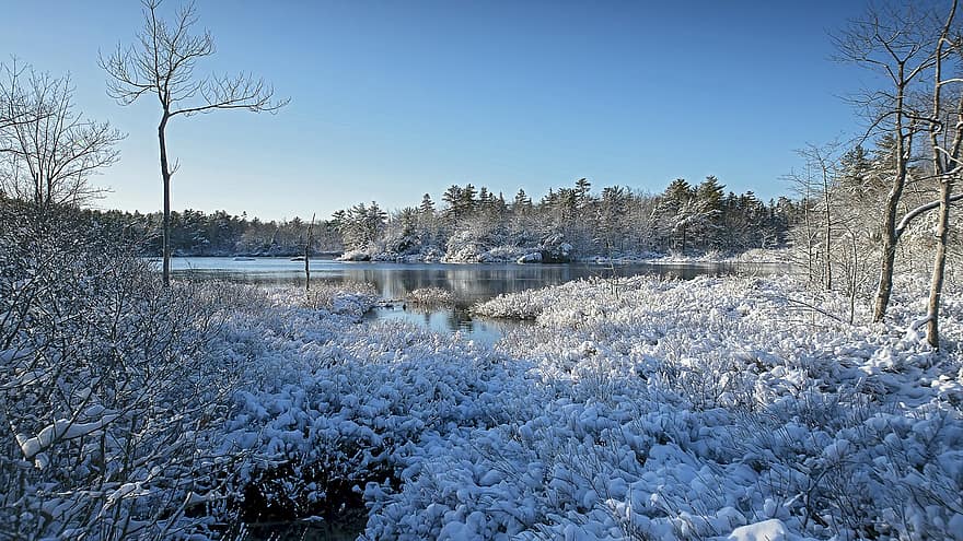 ziemā, ezers, raksturs, koki, tuksnesī, ārā, mežs, sniegs, koks, zils, ledus